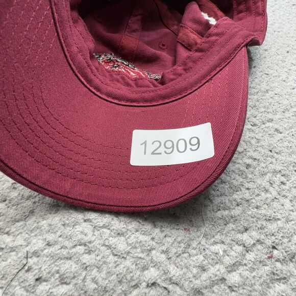 Arkansas Razorbacks Hat Cap Strap Back Mens NCAA Football‎ Top of World - Picture 8 of 8